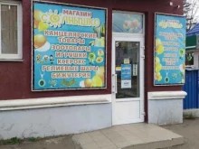 магазин игрушек Солнышко в Краснодаре