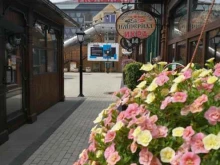 Рынки Центр города в Краснодаре