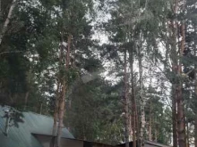 Бани / Сауны Русская баня в Ангарске