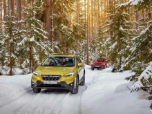 автосалон Subaru центр Киров в Кирове
