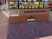 магазин хищных растений Exotica в Химках