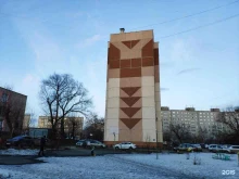 Семена / Посадочный материал Интернет-магазин комнатных цветов и растений в Челябинске