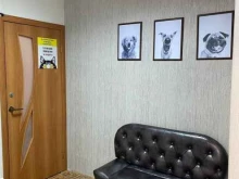 ветеринарная клиника Зубохвост в Барнауле