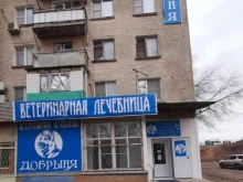 ветеринарная лечебница Добрыня в Астрахани