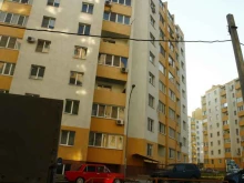 центр раннего развития детей Мадагаскар в Волгограде