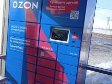 сеть постаматов Ozon Box в Саранске