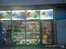 магазин сувениров Океан подарков в Пятигорске