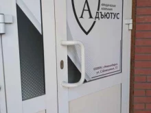 Адъютус, Семьи Шамшиных, 12 