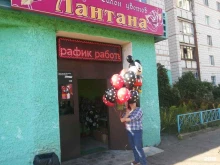 цветочный салон Лантана в Костроме