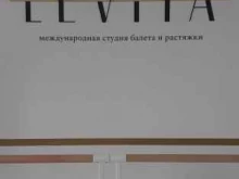 студия балета и растяжки Levita в Уссурийске