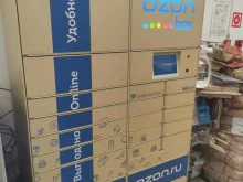 автоматизированный пункт выдачи Ozon box в Голицыно