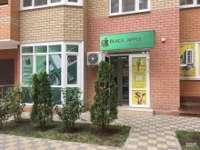 сервисный центр по ремонту мобильной техники Black Apple в Краснодаре