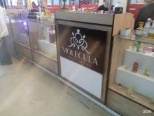парфюмерная лавка Molecula в Ставрополе