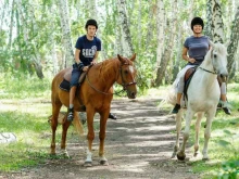 Центры раннего развития детей Добрая лошадка в Челябинске