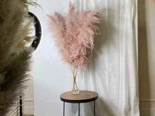 Objects grass pampas, Кадетская линия В.О., 5 к2 лит Д 