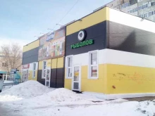 Славица, Бочкарёва, 11в 
