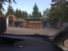 оздоровительно-санаторное предприятие Электроник-Дубрава в Тольятти