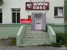 магазин разливных напитков Живое пиво в Нижнем Тагиле