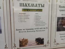 Настольные игры Шахматный клуб в Самаре