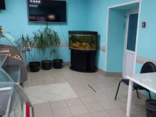 магазин Живая рыба в Кемерово