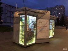 Киоск печатной продукции, Бирюлёвская улица, 17в киоск 
