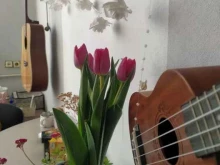 музыкальная школа JM в Хабаровске