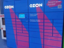 постамат №2817 OZON box в Нижнем Новгороде