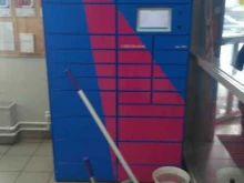 постамат Ozon box в Саратове