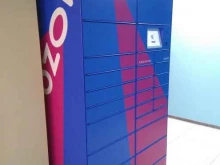 автоматизированный пункт выдачи Ozon box в Фрязино