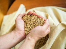 компания по продаже сырья для пивоварения Mountain malt в Барнауле