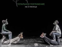 театральная мастерская Культура в Красноярске