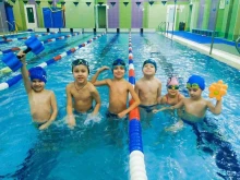 центр обучения детей плаванию Балтика Кидс в Санкт-Петербурге