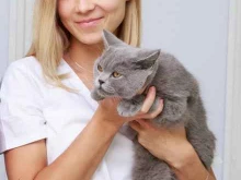 New vet, Питерский проспект, 5 