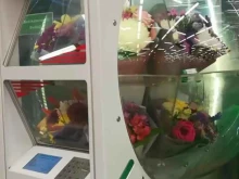 цветомат Travayc в Уссурийске