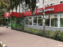 Пятёрочка, улица Камозина, 38 