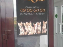 зоомагазин Амазонка в Чебоксарах