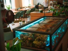 ресторан Черетто Море в Сочи