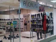 магазин женской обуви больших размеров Ascalini в Туле