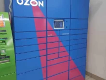 автоматизированный пункт выдачи OZON Box в Казани