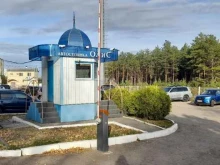 ОЛиС, Зифы Балакиной, 9 