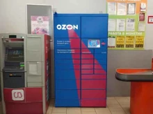 автоматизированный пункт выдачи Ozon Box в Березовском