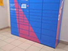 сеть постаматов Ozon Box в Саранске