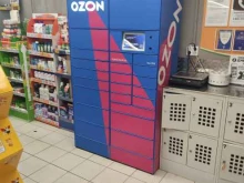 автоматизированный пункт выдачи Ozon box в Домодедово