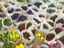 цветочная база Флорентина в Набережных Челнах