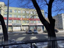 общественная организация Амурский союз художников России в Благовещенске