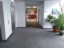 группа компаний T & M Group в Калининграде