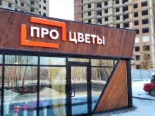 Сувенирные композиции Процветы в Красноярске