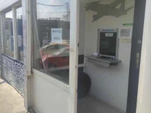 Авиабилеты Russtimeavia в Мытищах