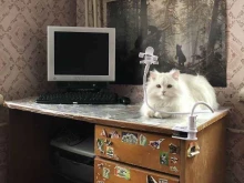 музей Квартира Коляна в Перми