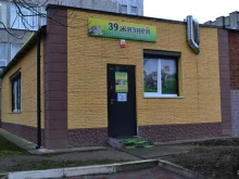 ветеринарная клиника 39 жизней в Калининграде